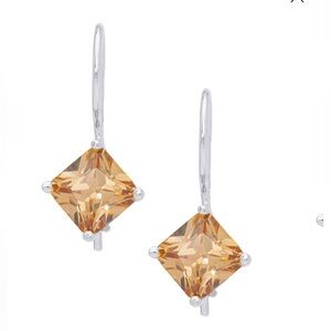 Elegant Dangle Earrings NWT